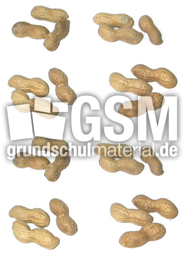 Erdnüsse-8x3.jpg